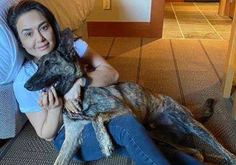 Lima Hari Terjebak di Hotel Gegara Pandemi Covid-19, Preity Zinta Berjuang Melawan Rasa Bosan: Terasa Berat!