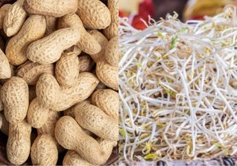 Pantas Saja Susah Langsing dan Sehat Kalau Masih Konsumsi 8 Makanan Ini Sebelum Olahraga, Mulai dari Taoge sampai Kacang