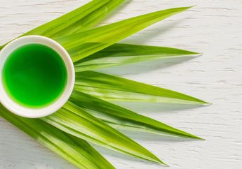 Cukup Pakai Daun Pandan jadi Obat Alami, Nyeri Sendi sampai Ketombe Gatal Hilang Tak Bersisa