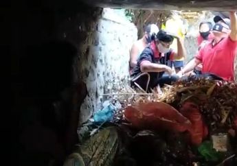 Berbulan-bulan Tinggal di Sarang Tikus dan Kecoa, Wanita Ini Hanya Dia saat Diamankan, Petugas Sampai Harus 'Tahan Diri' saat Fakta Janggal Terungkap