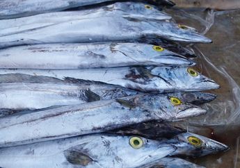 Waspada! Paket Ikan Kiriman dari Indonesia Terdeteksi Covid-19, China Blokir Produk Laut dari Nusantara