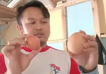 Hewan Ternaknya Keluarkan Telur Jumbo 3 Kali Lipat dari Ukuran Normal, Peternak Ayam di Tasikmalaya Bikin Heboh Warga Sekitar: Setiap Dua atau Tiga Hari Sudah Ada Telur Besar Itu!