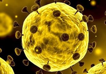 Hubungan Dua Arah Diabetes dan Covid-19, Bukan Hanya Penyebab Kondisi Memburuk Jika Punya Diabetes, Studi Temukan Covid-19 Bisa Sebabkan Diabetes Tipe 1, Diagnosa yang Mengerikan