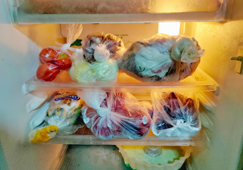 Waduh, Jangan Lagi Deh Simpan Makanan dengan Kantong Plastik di Kulkas Kalau Nggak Mau Kena Bahaya Ini, Ibu-Ibu Wajib Tahu!