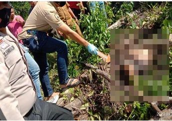 Pamit Charger Ponsel Tak Kunjung Pulang, Orang Tua Kaget Bukan Kepalang Saat Temukan Anaknya Tewas dengan Muka Hancur, Kondisinya Mengenaskan dan Mengeluarkan Aroma Tak Sedap!