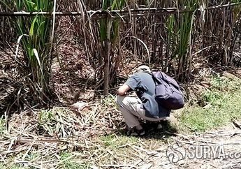 Dikenal sebagai Preman Kampung, Warga Tulungagung Tewas Jadi Sasaran Amuk Massa dan Nyaris Dibakar Hidup-hidup Setelah Anak Buah Korban yang Diduga Jadi Pelaku Curanmor Lolos dari Kejaran Warga!