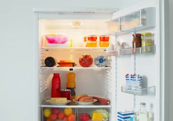 Selama Ini Kita Salah Besar, Ternyata Begini Cara Menyimpan Makanan dalam Kulkas yang Benar, Wajib Tahu!