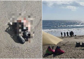 Temuan Potongan Kaki Manusia Gemparkan Pengunjung Pantai di Bali, Diduga Sudah Jadi Santapan Anjing Liar