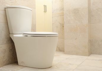 Enam Fakta Mengejutkan tentang Feses yang Tak Banyak Orang Tahu, Ternyata Sebagian Besar Kandungannya Bukan Sisa Makanan