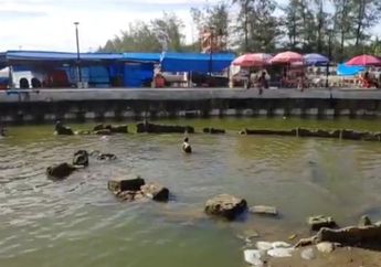 Legenda Objek Wisata Batu Malin Kundang Dikabarkan Hilang Tenggelam Menjadi Danau Buatan, Pemkot Sumbar Angkat Bicara!