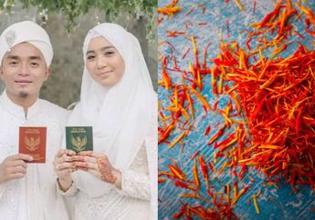 Bukan Cuma Jadi Juragan Saffron, Taqy Malik Ternyata Miliki 11 Kerajaan Bisnis, dari Keripik Pisang hingga Sedotan Bambu