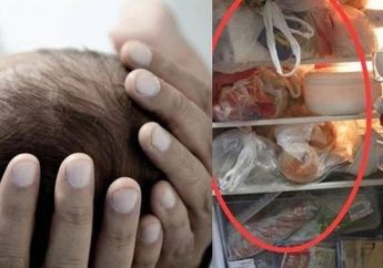 Seisi Rumah Sampai Heboh Setelah Seorang Pria Temukan Bayi Membeku di Dalam Freezer Kulkasnya, Ternyata Ulah sang Putri