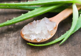 Dijamin Bisa Lebih Irit, Begini Cara Mudah Membuat Sampo Padat dari Lidah Buaya yang Ampuh Mengatasi Rambut Rontok