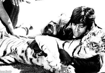 Ceritakan Pengalaman Syuting Paling Berkesan, Amitabh Bachchan Mengaku Pernah Melawan Harimau Sungguhan: Anda Tidak Tahu Betapa Kuat Binatang Itu