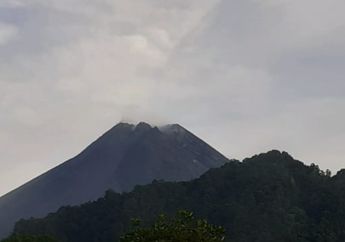 Status Siaga, Gunung Merapi Kembali Muntahkan Awan Panas, Meluncur Sejauh 1.500 Meter