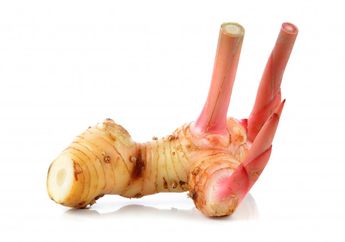 10 Fakta Menarik Lengkuas, Jadi Bahan Baku Minuman Keras sampai Obat Wanita Setelah Melahirkan