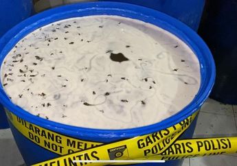Jauh dari Kata Steril! Pabrik Madu Palsu Akhirnya Terbongkar, Banyak Lalat Mengambang di Cairan Madu