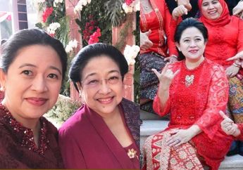 Puan Maharani Digadang-gadang Jadi Presiden RI 2024, Inilah Sosok Mantu Megawati, Punya Nama Besar di Indonesia!