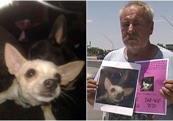 Demi Bertemu Kembali dengan Hewan Peliharaannya, Pria Ini Tawarkan Rumah dan Sebidang Tanah pada Siapa pun yang Sudi Temukan Anjingnya