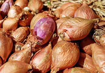 Jangan Kaget dengan Hasilnya, Mengoleskan Bawang Merah pada Bagian Tubuh ini Ternyata Punya Khasiat Menakjubkan!