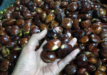 5 Cara Sederhana Menghilangkan Bau Pada Jengkol, Pemula Juga Pasti Bisa!