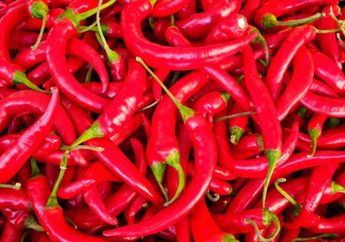 Kamu Penggemar Makanan Pedas? Ternyata Ada 5 Manfaat Cabai untuk Kesehatan loh, Mulai dari Meningkatkan Metabolisme Tubuh hingga Menurunkan Kolesterol