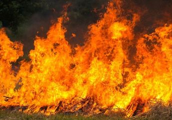 Sakit Hati Diputus dan Ditinggal Pergi dalam Keadaan Marah, Seorang Pria Bakar Motor Mantan Kekasihnya hingga Menyambar Mobil Penghuni Kos Lain