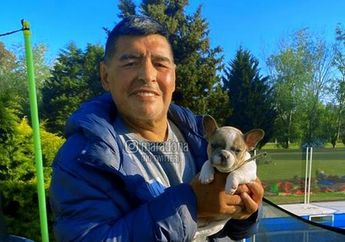 Pemain Legendaris Argentina, Diego Maradona Tutup Usia Akibat Gangguan Jantung