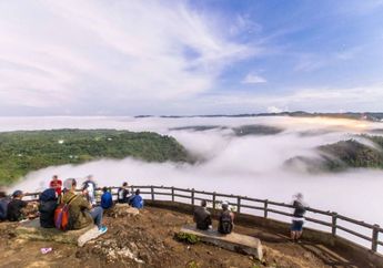 Akhir Tahun Jadi Waktu yang Tempat Untuk Nikmati Keindahan Negeri di Atas Awan, Kebun Buah Mangunan