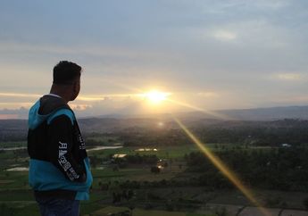 Menikmati Indahnya Sunset di Bukit Persaudaraan Sumba Timur, Hamparan Sawah Sejauh Mata Memandang