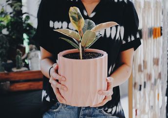 Central Park dan Neo Soho Mall Gelar Acara Plantopia: Panggilan untuk Semua Pencinta Tanaman dan Plant Parent Nih!