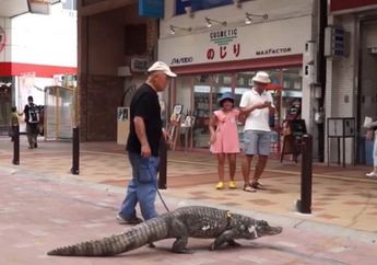 Masih Punya Nyali Meski Anaknya Sempat Nyaris Dimangsa sang Hewan Predator, Pria Ini Nekat Lanjutkan Rawat Buaya Peliharaannya, Begini Keadaannya Setelah 34 Tahun Hidup Bersama