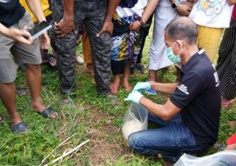 Niat Hati Cari Rumput, Warga di Sulawesi Selatan Kaget Bukan Main Malah Temukan Bungkusan Tengkorak