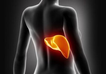 Tak Perlu Khawatir, Inilah Beberapa Macam Makanan yang Dapat Membantu Menjaga Detoksifikasi Liver  Anda