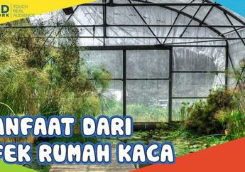 Efek Rumah Kaca Bisa Disebabkan oleh Aktivitas Manusia, Ketahui Manfaat dari Efek Rumah Kaca di Video Ini