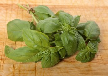 Banyak Orang yang Tak Tahu Kalau Mengonsumsi Daun Kemangi Mentah Bisa Berikan Manfaat Tak Terduga, Salah Satunya Mencegah Diare!