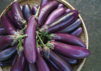 Atasi Perut Kembung dengan Rutin Minum Air Rebusan Terong, Berikut Langkah Baiknya