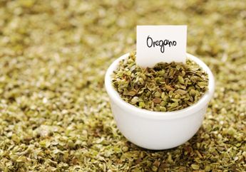 Hasil Penelitian Mengungkap 8 Fakta Manfaat dari Oregano, Mulai dari Meredakan Flu hingga Beberapa Penyakit Lainnya