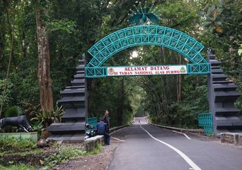 Terlanjur Diisukan Jadi Tempat Angker, Siapa Sangka Alas Purwo Justru Menyimpan 8 Spot Wisata Keren Ini!