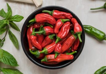 Segudang Manfaat Makan Pedas untuk Kesehatan Tubuh yang Perlu Kamu Tahu, Penasaran?