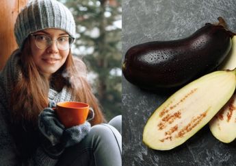 Mengejutkan! Ternyata Begini Cara Mengatasi Perut Kembung dengan Buah Terong, Efeknya Langsung Bisa Dirasakan Dalam Hitungan Menit