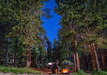 Nuansanya Seperti di Film Ghibli, Perkemahan di Jepang ini Punya Pemandangan bak Negeri Dongeng!