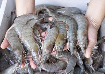 Garis Hitam di Punggung Udang Harus Dibersihkan atau Tidak? Ini Penjelasan Ahli
