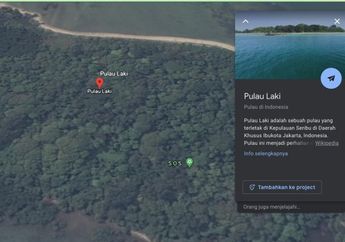 Heboh Munculnya Titik SOS di Pulau Laki, Area Jatuhnya Pesawat Sriwijaya Air, Google Hapus Sinyalnya dan Pastikan Itu Tidak Akurat