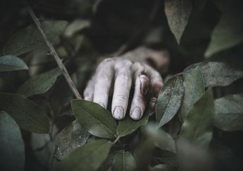 Pria Cianjur Kembali Hidup Setelah Dinyatakan Meninggal 2 Kali, Warga: Saya Ingat Betul Evakuasi Dia ke Ambulance