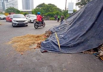 Tak Seperti Kejadian Warga Ambil Minuman dari Kecelakaan di Tawangmangu, Warga Sukoharjo Justru Bantu Sopir Truk Pengangkut Telur yang Alami Kecelakaan