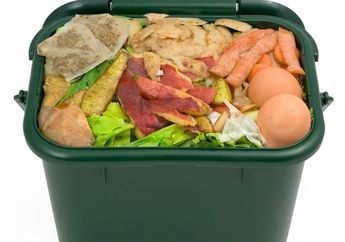 Cara Membuat Pupuk Kompos di Rumah, Bahannya Hanya dari Sisa Sampah Rumah Tangga Aja!