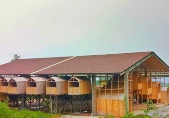 Habiskan Dana Rp 6 Miliar, Gedung Kebudayaan Subang Justru Mirip Sarang Burung, DPRD Jabar: Sampai Berwujud Seperti Ini Saya Juga Bingung