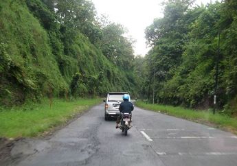 MISTERI Alas Roban, Benarkah Ada Warung Gaib dan 2 Sosok Ini? Jangan Lupa Bunyikan Klakson Ketika Lewat!
