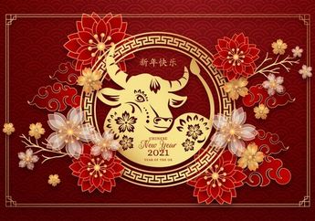 Imlek di Tengah Pandemi, Menkes Budi Gunadi Himbau untuk Rayakan di Rumah: Amplop Merahnya Bisa Dikirim Lewat Transfer Atau Ojol